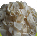 China Freeze Dried Garlic Flakes, Dices